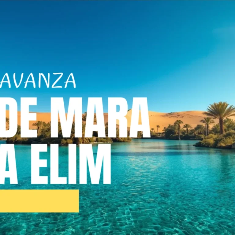 Avanza de Mara a Elim